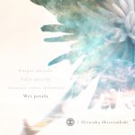 [album cover art] Hirotaka Shirotsubaki – Wet Petals