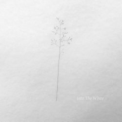 [album cover art] Into The White (VA)