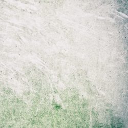 [album cover art] Jeannine Schulz – Ground . The Gentle