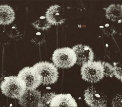 [album cover art] kj – ex