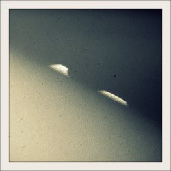 [album cover art] Koen Daigaku – Collected Recordings for Heat Death Records