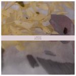 [album cover art] Lamasz – Broderie