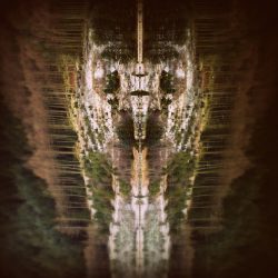 [album cover art] Lights Dim – Deep Summer