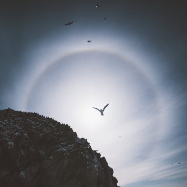 [album cover art] Logic Moon & Atmøsphäre – Terraforming