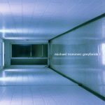 [album cover art] Michael Trommer – Greyfields 1