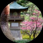 [album cover art] nobuto suda – twilight garden