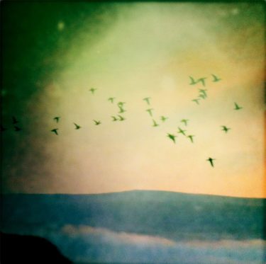 [album cover art] offthesky & Man Watching the Stars – Afar, Farewell