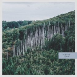 [album cover art] PGD/MV – Morvan