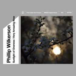 [album cover art] Phillip Wilkerson – Sunlight of Oneness | Very Amazing Now