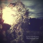 [album cover art] Polaroid Notes – The Long Bright Dark