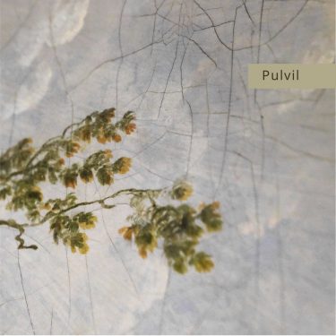 [album cover art] Pulvil – Mereology