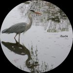 [album cover art] rhucle – beautiful fragments
