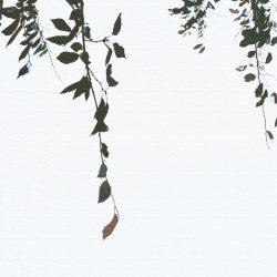 [album cover art] Rhucle – 霧が晴れたら