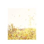 [album cover art] Rhucle – Fade In