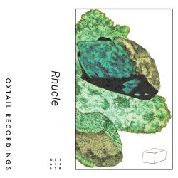 [album cover art] Rhucle – New Rain