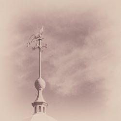 [album cover art] Sachi Kobayashi – Weathervane