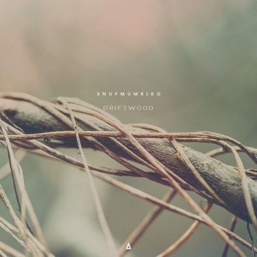 [album cover art] Snufmumriko – Driftwood