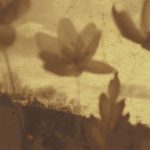 [album cover art] Spheruleus – Revolving Fields