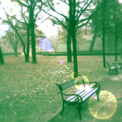 [album cover art] Strom Noir / Spheruleus – Morning
