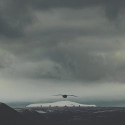 [album cover art] SVLBRD – Stratus (Remodel)