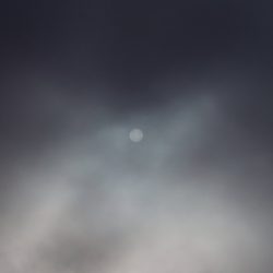[album cover art] SVLBRD – The Void