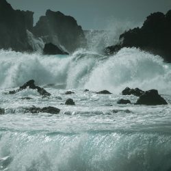 [album cover art] SVLBRD – The Waves (Remodel)
