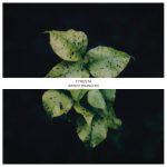 [album cover art] Tyresta – Infinite Branches