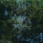 [album cover art] Viul – Outside the Dream World