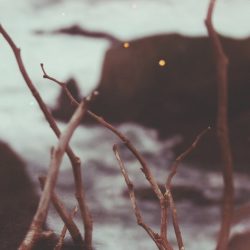 [album cover art] Warmth – Essay (Remake)