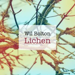[album cover art] Wil Bolton – Lichen