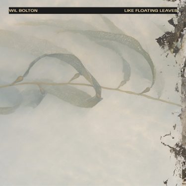 [album cover art] Wil Bolton – Like Floating Leaves