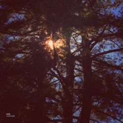 [album cover art] zakè – Carolina