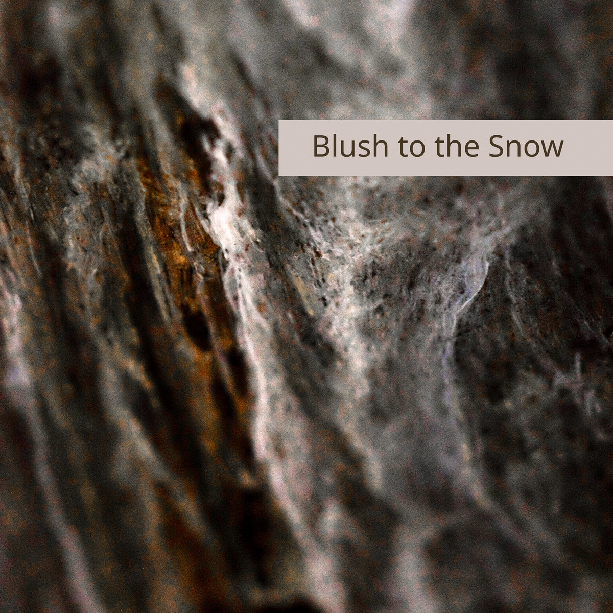 [album cover art] Blush to the Snow – Fading Flames