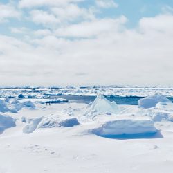 [album cover art] glåsbird – antarctica