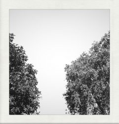 [album cover art] Gregory Paul Mineeff – So Many, Diminishes