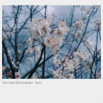 [album cover art] Hirotaka Shirotsubaki – April (Remastered 2021)