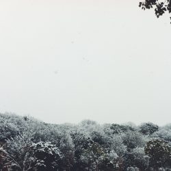 [album cover art] Hirotaka Shirotsubaki – Snow / Silence