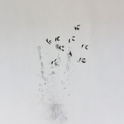 [album cover art] Ken Ikeda + David Toop – Skin Tones