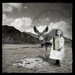 [album cover art] Nicolas Bernier – The Dancing Deer EP