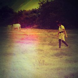 [album cover art] offthesky vs Kinder Scout – The Curio Collection