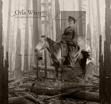 [album cover art] Orla Wren – Book of the Folded Forest