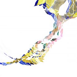 [album cover art] Tobias Hellkvist – Evolutions
