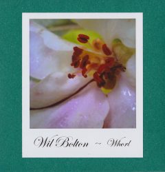 [album cover art] Wil Bolton – Whorl