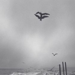 [album cover art] Chihei Hatakeyama – Saunter