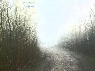 [album cover art] Microvolt – Dissipate