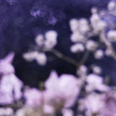 [album cover art] Purl – Under Isen